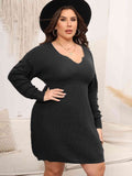 Plus Size Long Sleeve Knit Mini Dress - In Control Clothing
